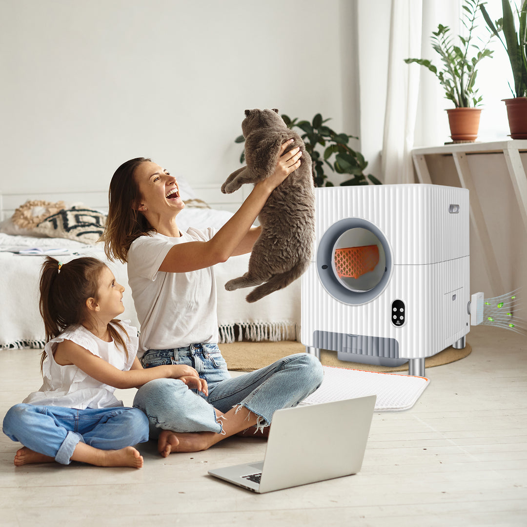 Self Cleaning Litter Box Air Purifier