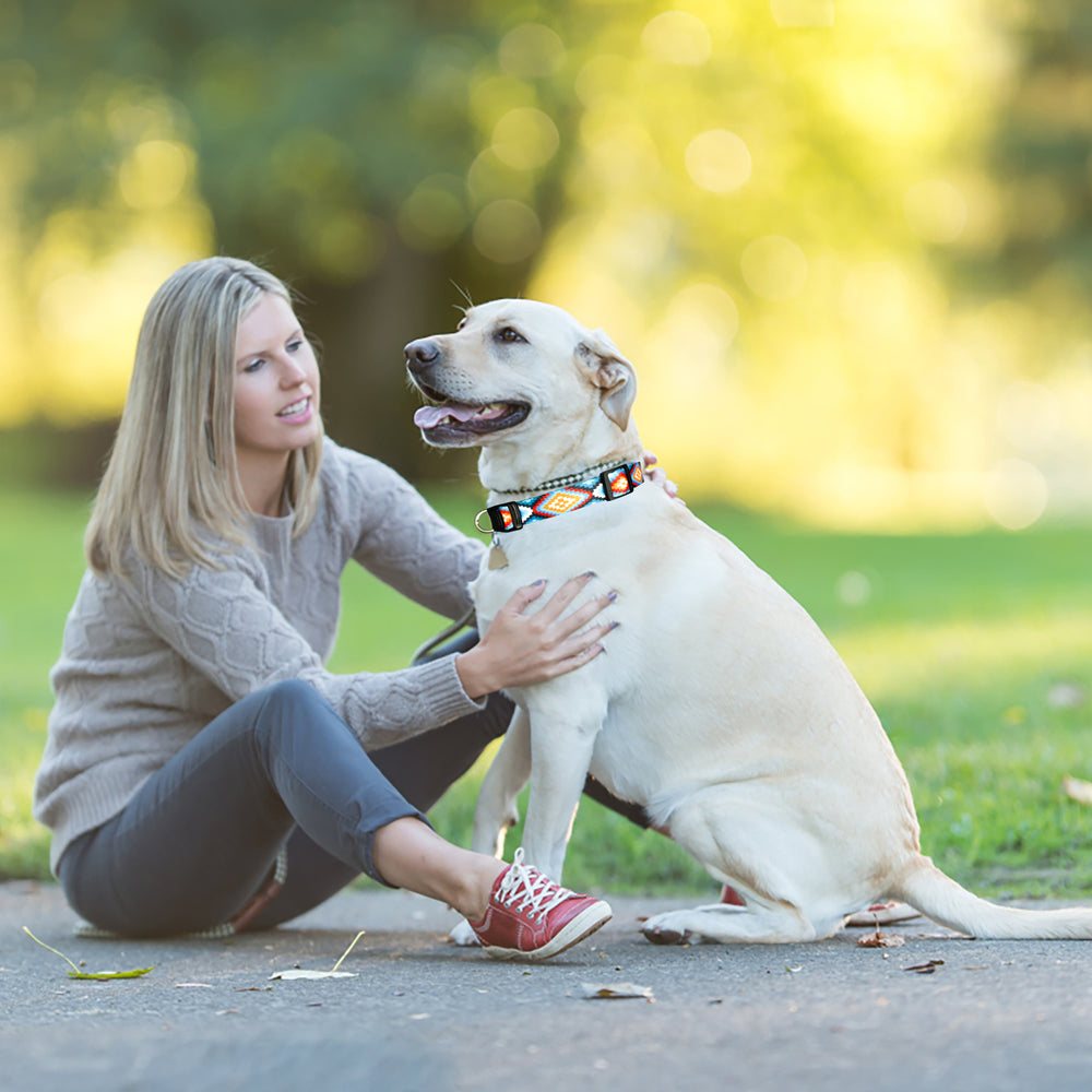 Charmkit Dog Collar for Small Medium Large Dogs